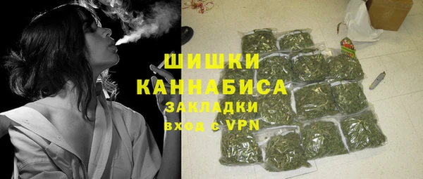 прущие крисы Горняк