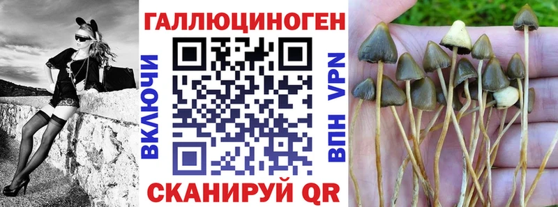 Галлюциногенные грибы GOLDEN TEACHER  Данков 